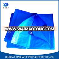 Best quality Cheap price of china plastic korea pe tarpaulin factory