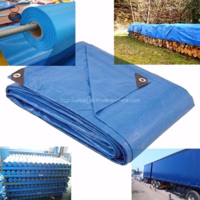 China Factory Black Blue PE Tarpaulin