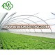 2018 Agricultural Film Covered agriculture green house