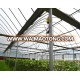 Hot sale used plastic film multi-span commercial/agriculture plastic greenhouse for sale