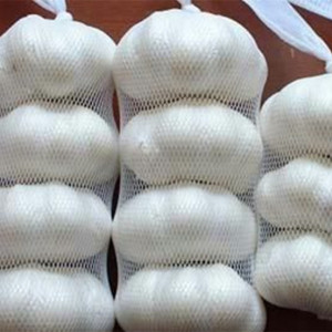 PP Mesh Bags for Fruit Packaging Bags