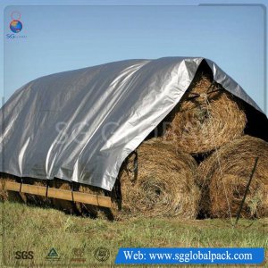 China Factory Polyethylene PE Tarpaulin